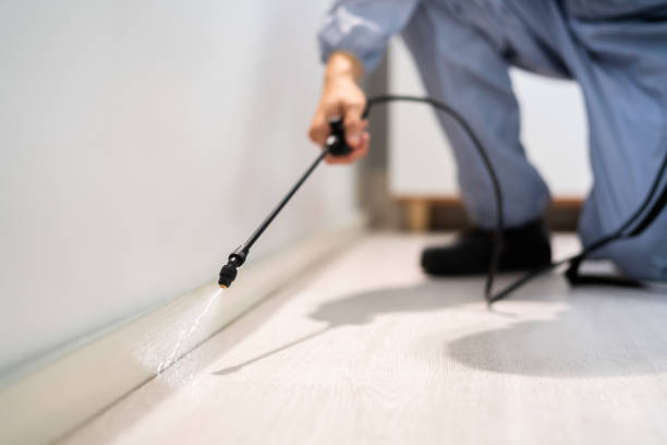 Licensed Termite Control service in Plainfield, IL - Nex Pest Control