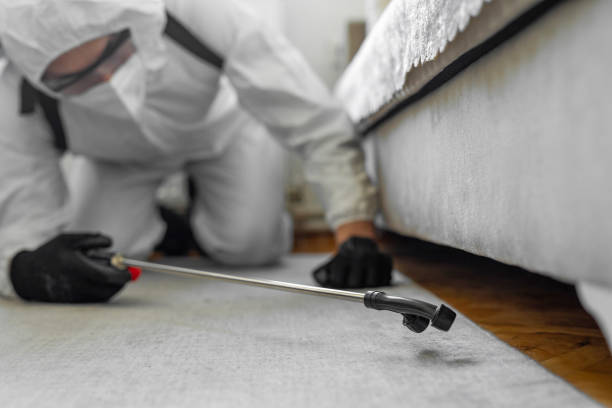 Professional Termite Control technician working in Plainfield, IL