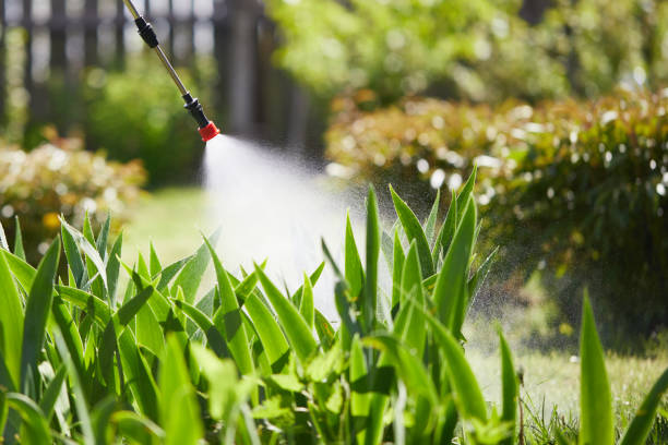 24/7 Emergency Termite Control experts in Plainfield, IL