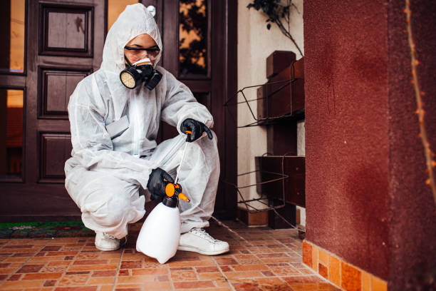Reliable Termite Control contractor in Plainfield, IL by Nex Pest Control